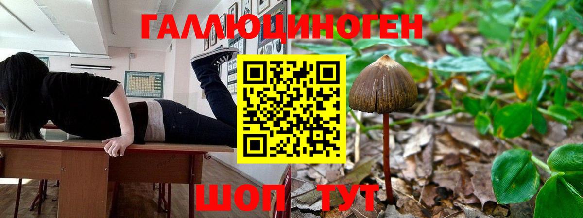 Галлюциногенные грибы мицелий  Вход с VPN  Галлюциногенные грибы мухоморы  Чехов 