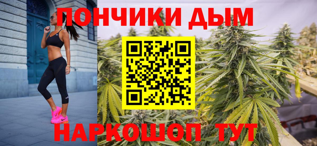 Шишки марихуана Amnesia Чехов